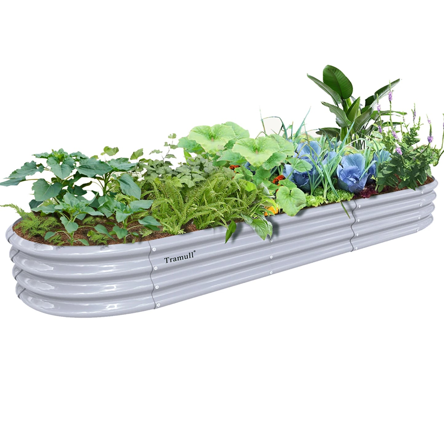 Tramull Galvanized Raised Garden Bed Planter for Vegetables and Herbs