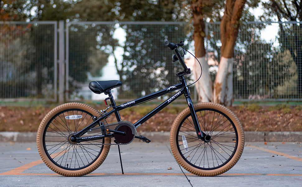 Joystar Brockway Freestyle Kids BMX Bike 20 Inch Bicycle for 6 to 14 Years Old Boys and Girls Beginner Level Riders with 2 Pegs