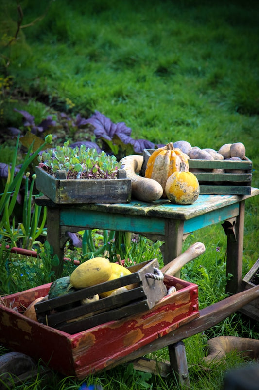Essential Gardening Supplies for Every Green Thumb