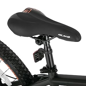 HILAND 29 Inch Mountain Bike with 21 Speed Aluminum Frame Shimano Gearbox Disc Brake Suspension Fork Black Blue
