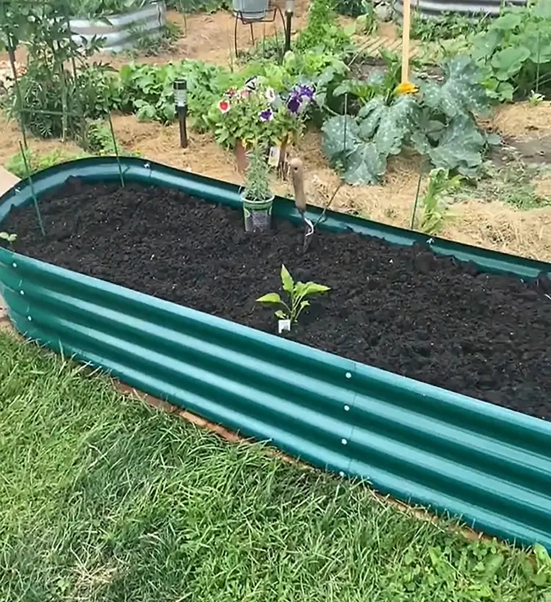 Tramull Galvanized Raised Garden Bed Planter for Vegetables and Herbs