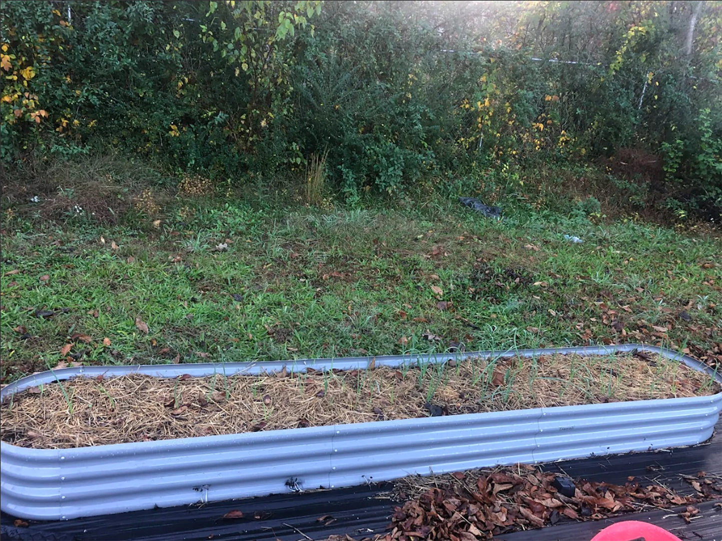 Tramull Galvanized Raised Garden Bed Planter for Vegetables and Herbs